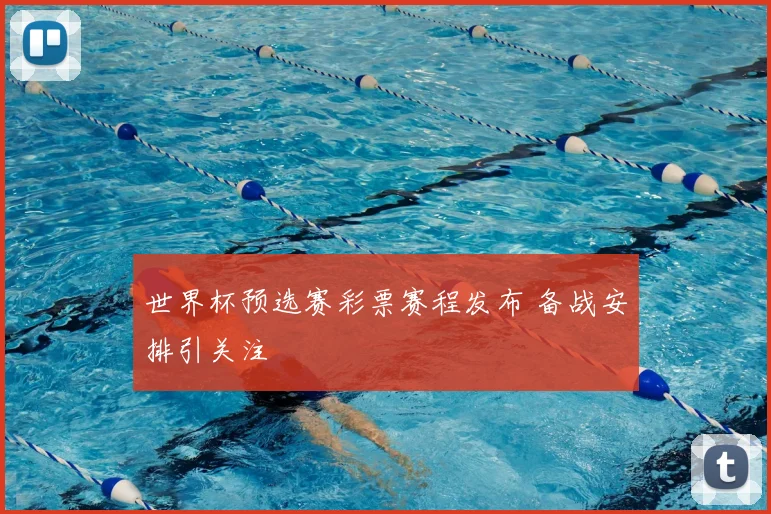 世界杯预选赛彩票赛程发布 备战安排引关注